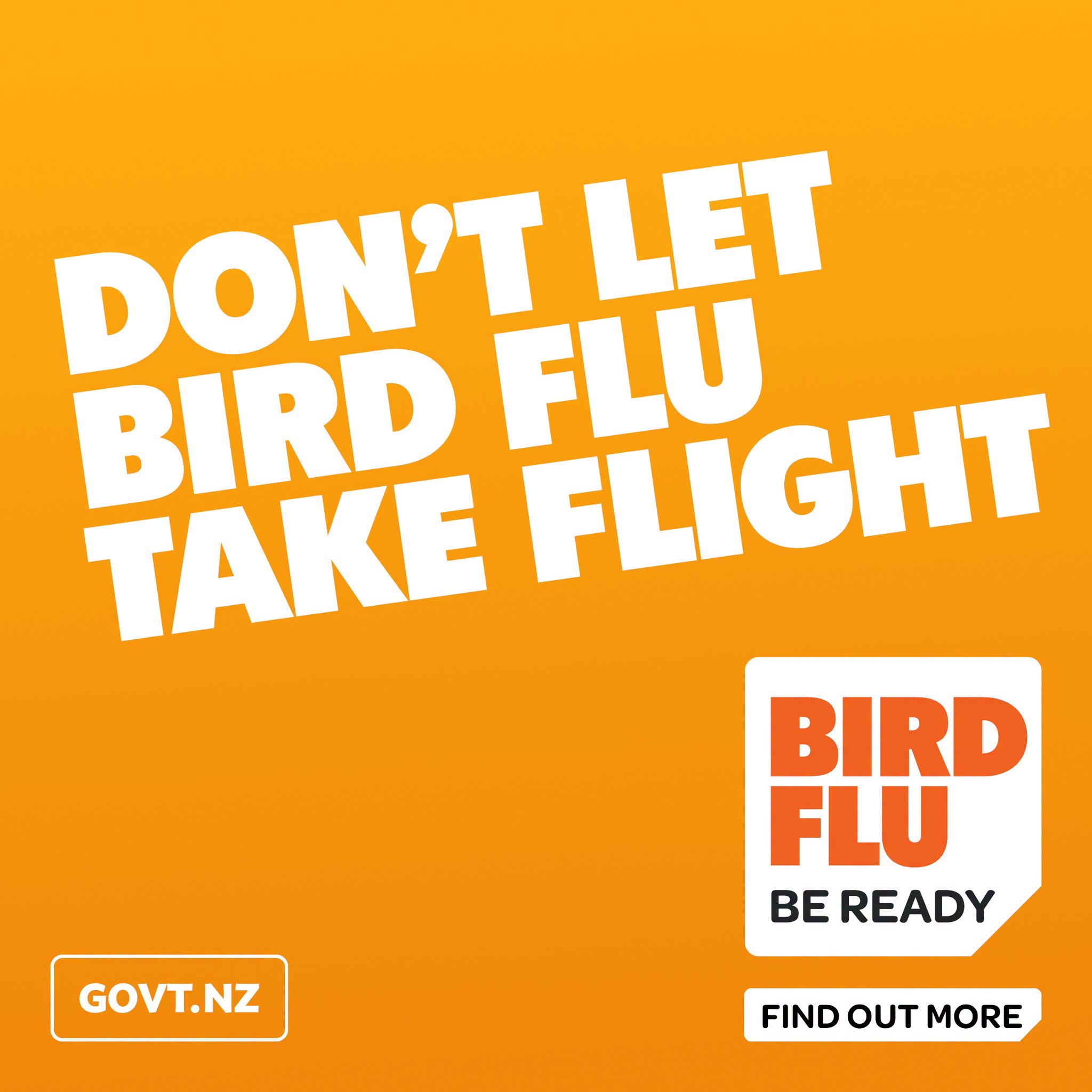 bird flu.png