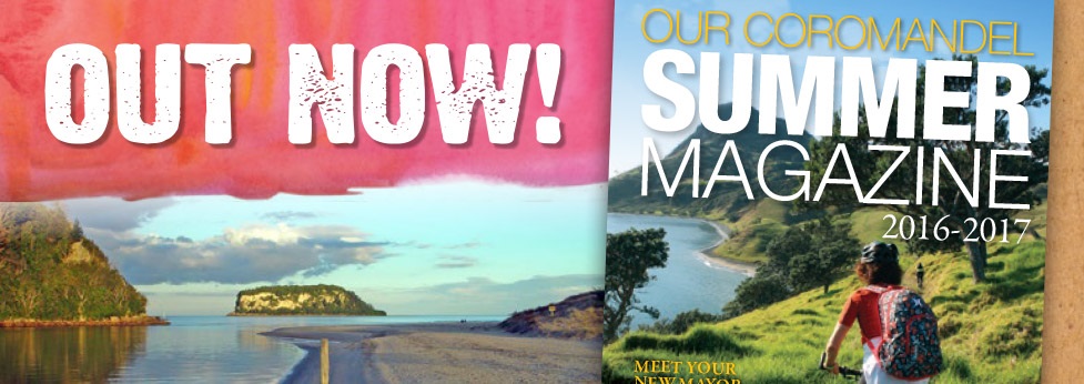TCDC Summertimes_Rolling Banner.jpg