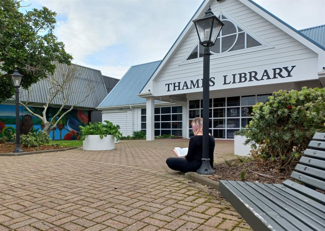 Thames Library view from Rotary Park