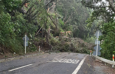SH25 Behind Whangamata.png