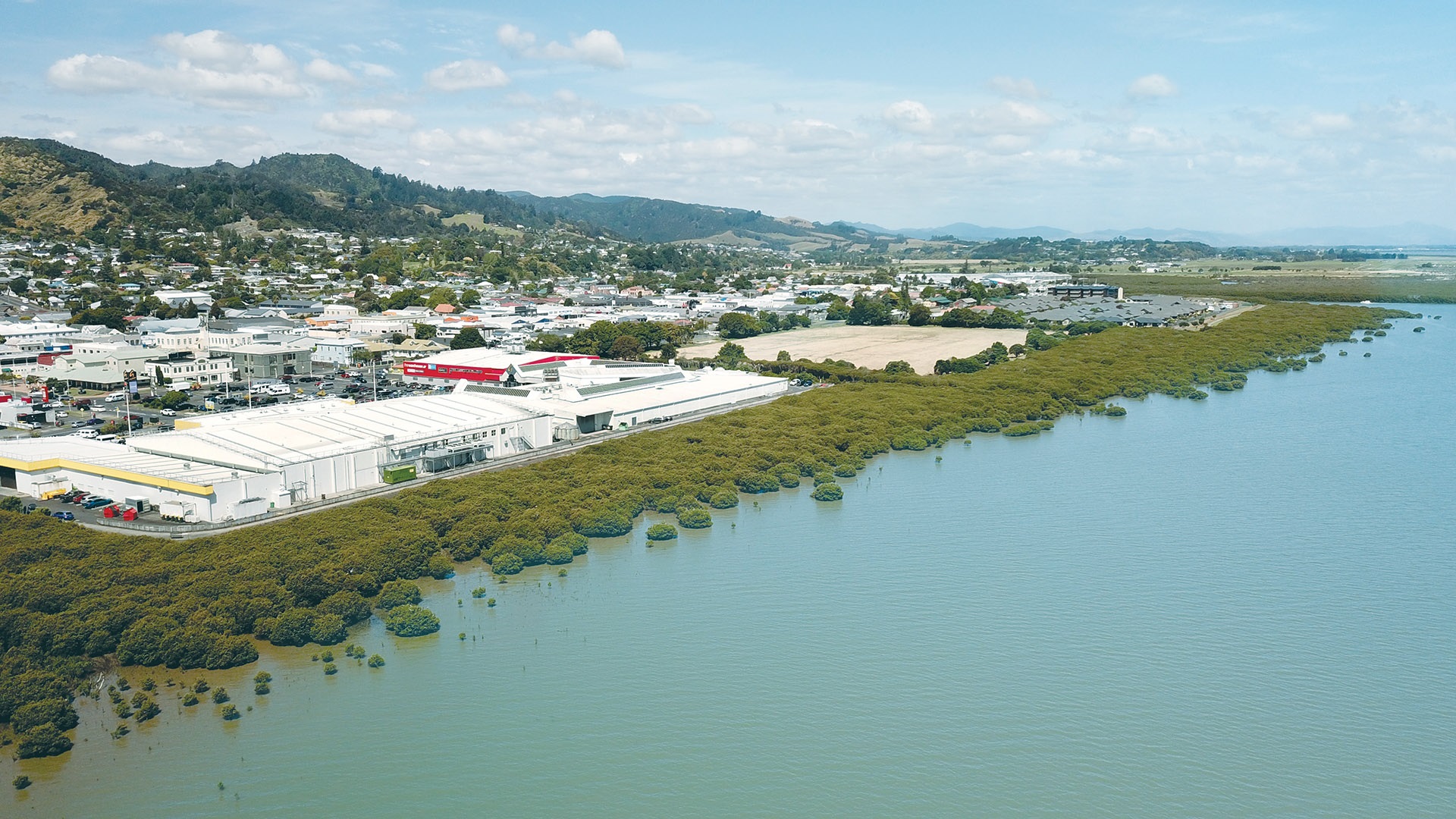 Thames_Drone shot PaknSave looking southwards brightened.jpg