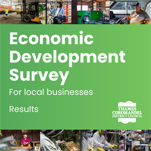 Economic Development Survey.png