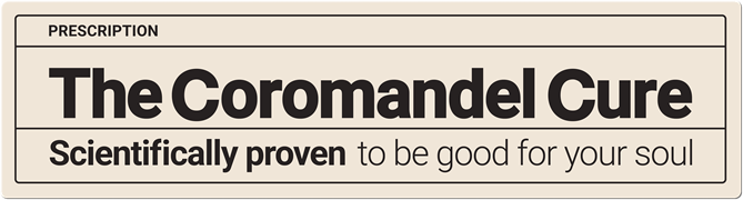 Coromandel Cure.png