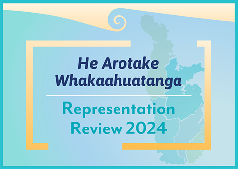 TCDC_Representation Review_WEB THUMBNAIL_STAGE3.png