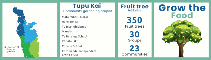 copy-of-tcdc-hauraki-opportunity-survey-assets-400-x-200-px-2.png