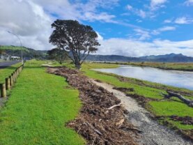 Buffalo Beach Reserve, Whitianga