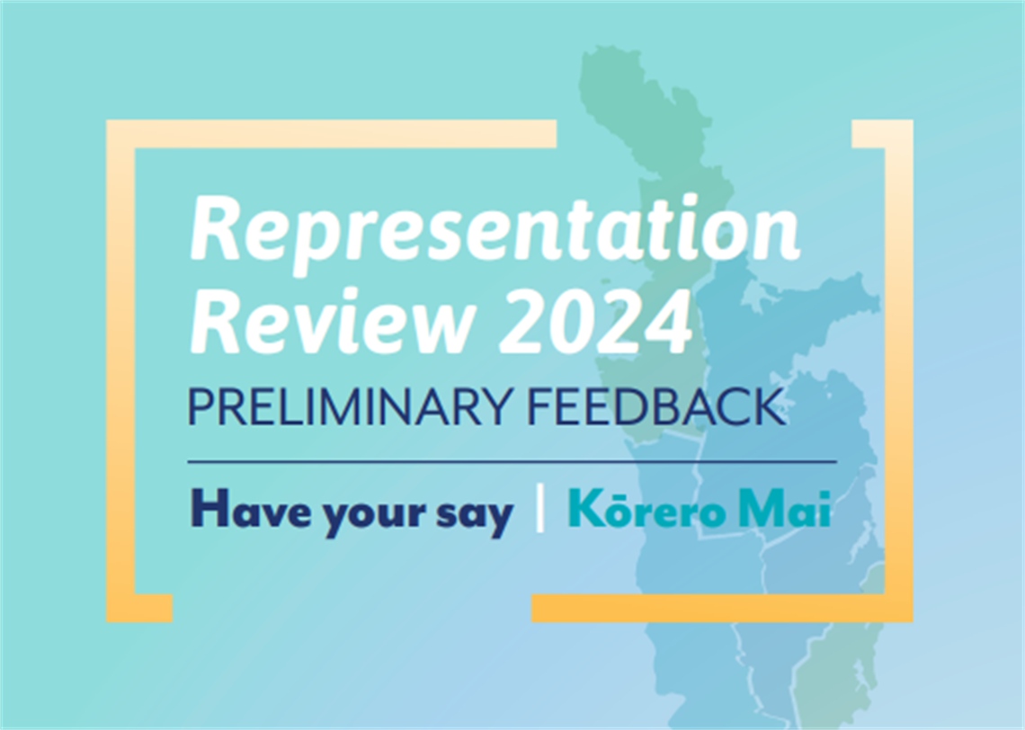 2024-02-29 17_31_01-TCDC_Representation Review_A5 POSTER_DIGITAL PRINT.pdf and 14 more pages - Work .png