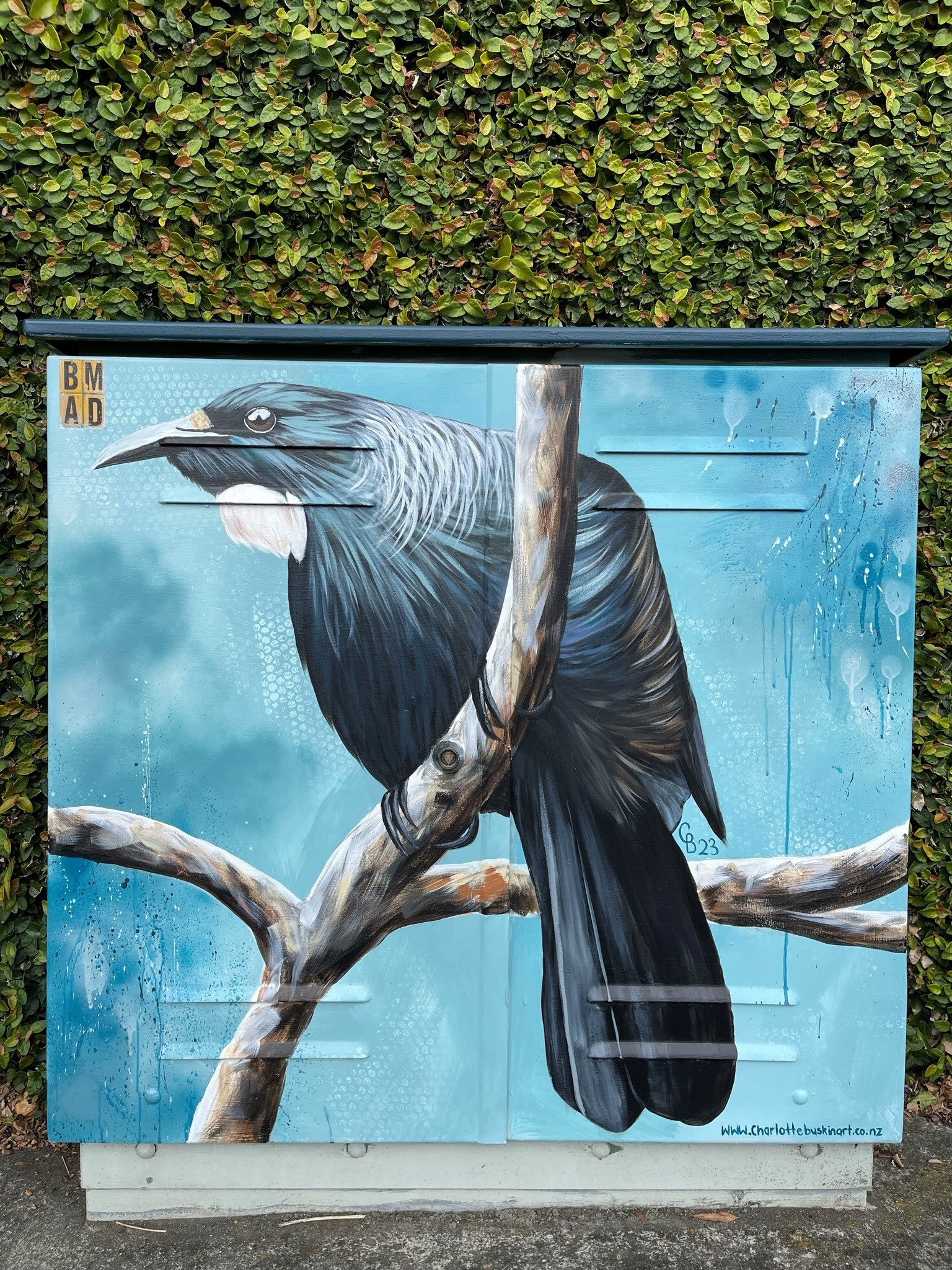 Charlotte Buskin - Iridescence.jpg