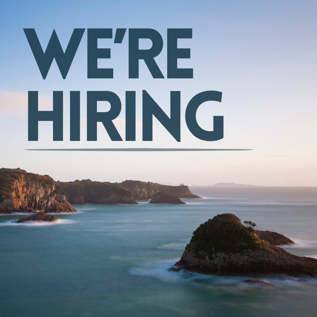 HIRING PARKS IG.png