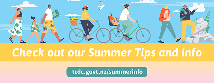 TCDC_Summer-info-BANNER_2025_WEB2.png