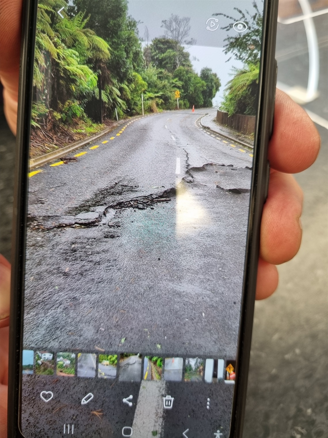 Grange Road Hahei portrait 14 Feb 23.jpg