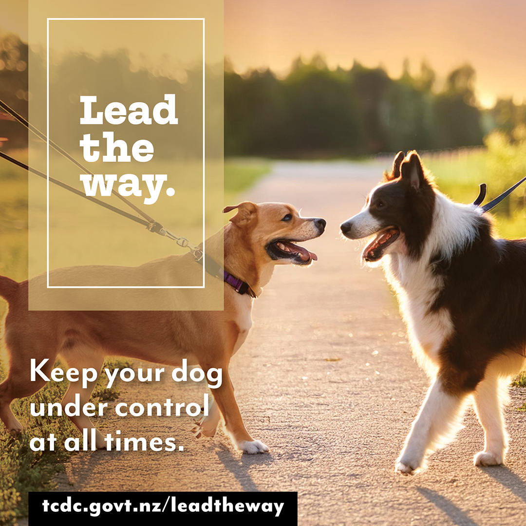 Dogs_Lead the Way Keep under control.png