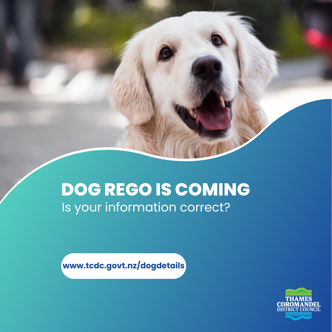Dog rego info.png