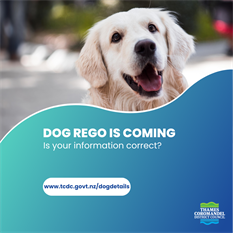 Dog rego info.png