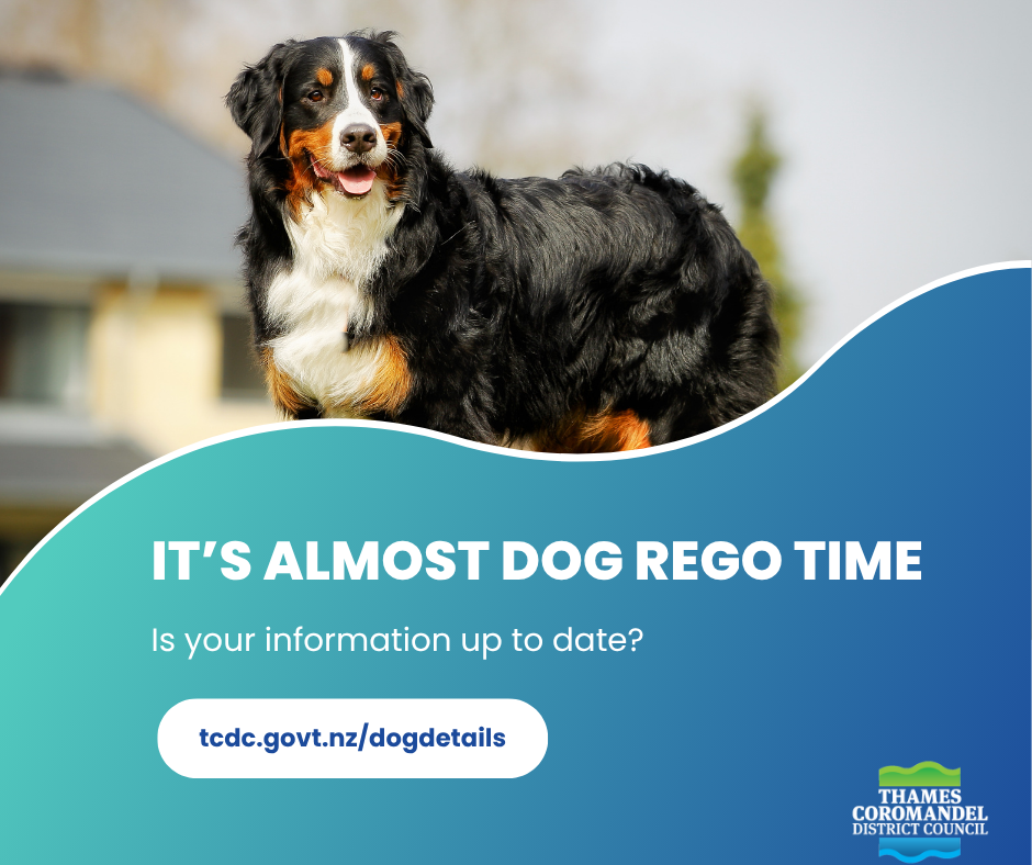 Dog-rego-update.png