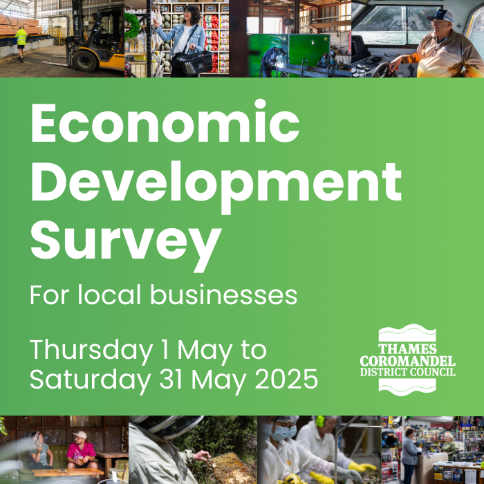 Economic Development Survey.png