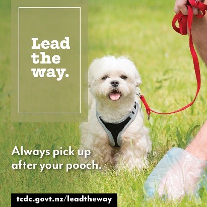 Lead the Way pick up after your pooch.jpg