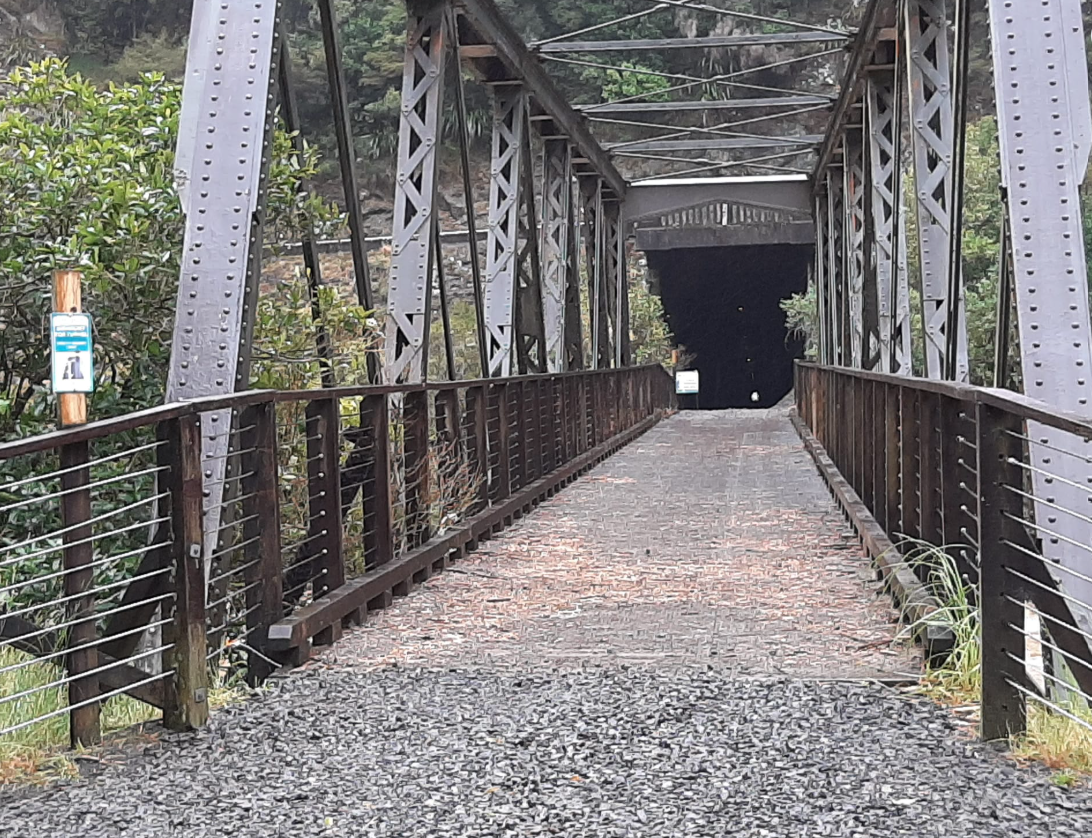 Photo-Hauraki-Rail-Trail-Karangahape-gorge-tunnel.png