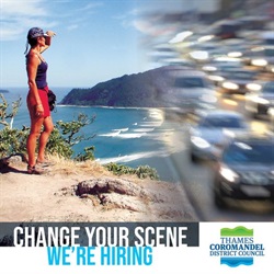 TCDC jobs