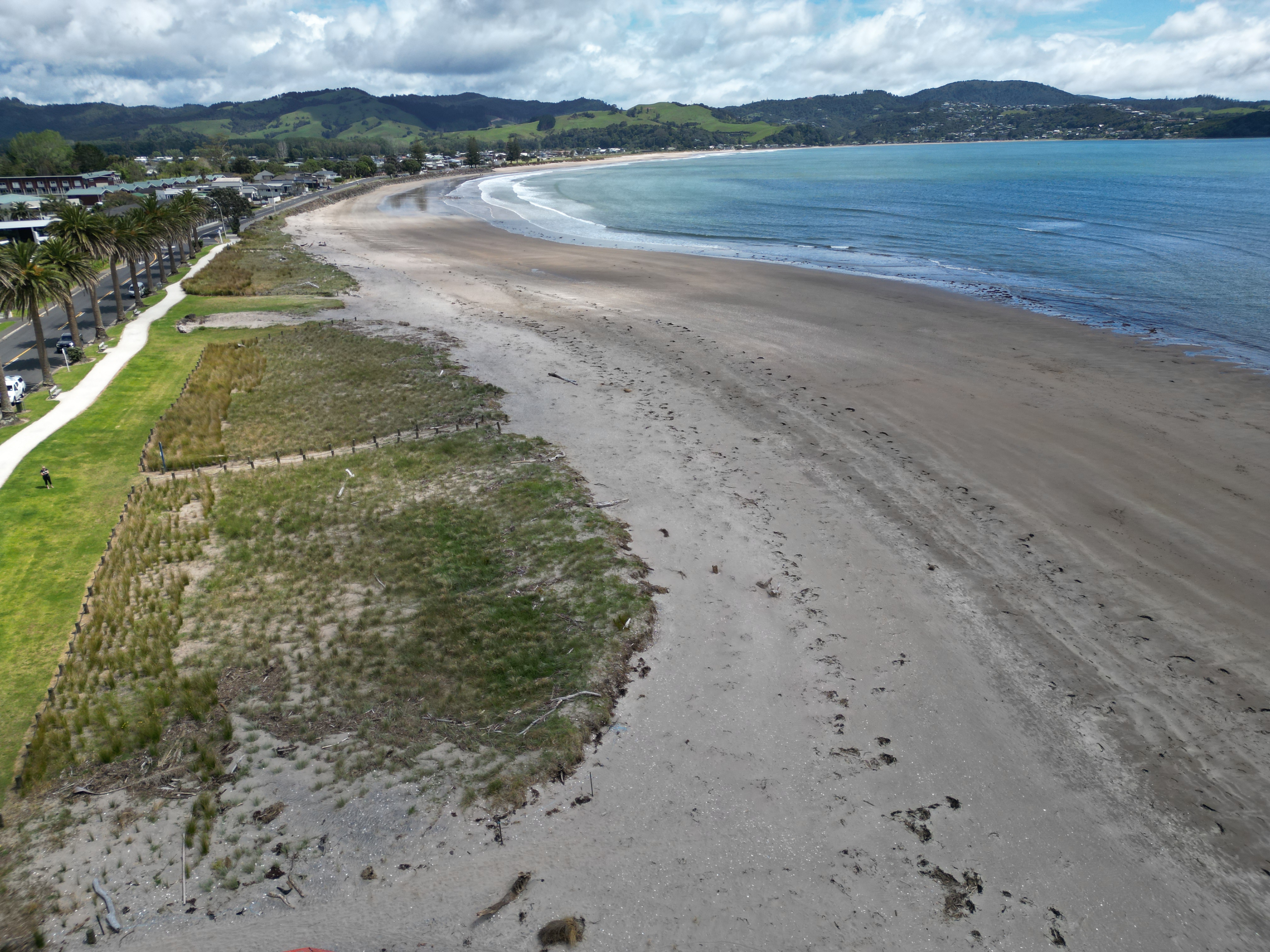 whiti coast care 1.JPG