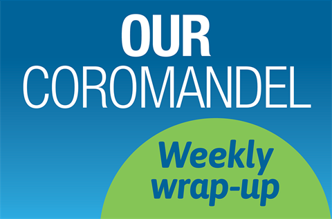 Weekly Wrap-up Graphic_2023.png