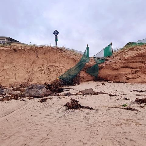 Whangamat dunes.jpg