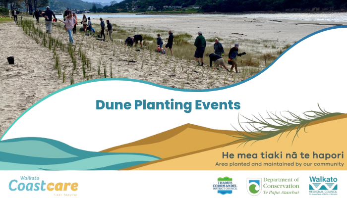 Dune planting events banner style.png