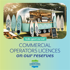 Commercial Concessions_WEB TILE_2025.png