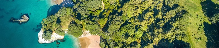 AdobeStock_169743568.jpeg