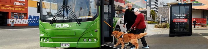 bUS SURVEY.jpg