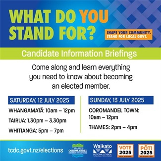 Candidate Information Briefing_WEB TILE.png