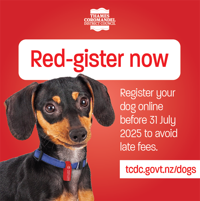 dog rego.PNG