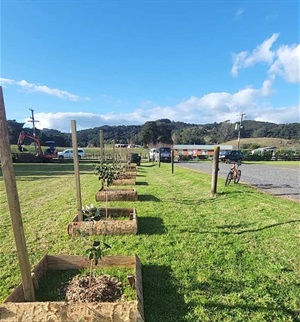 Manaia.jpg