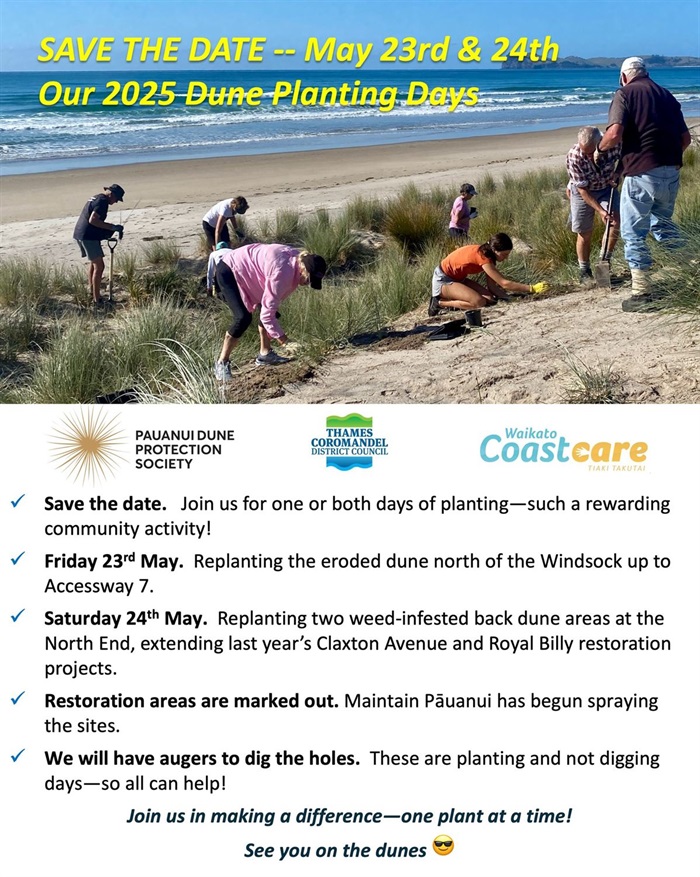 Pāuanui Dune Care.jpg