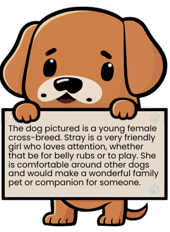 WWU Thumbnail size (4).png