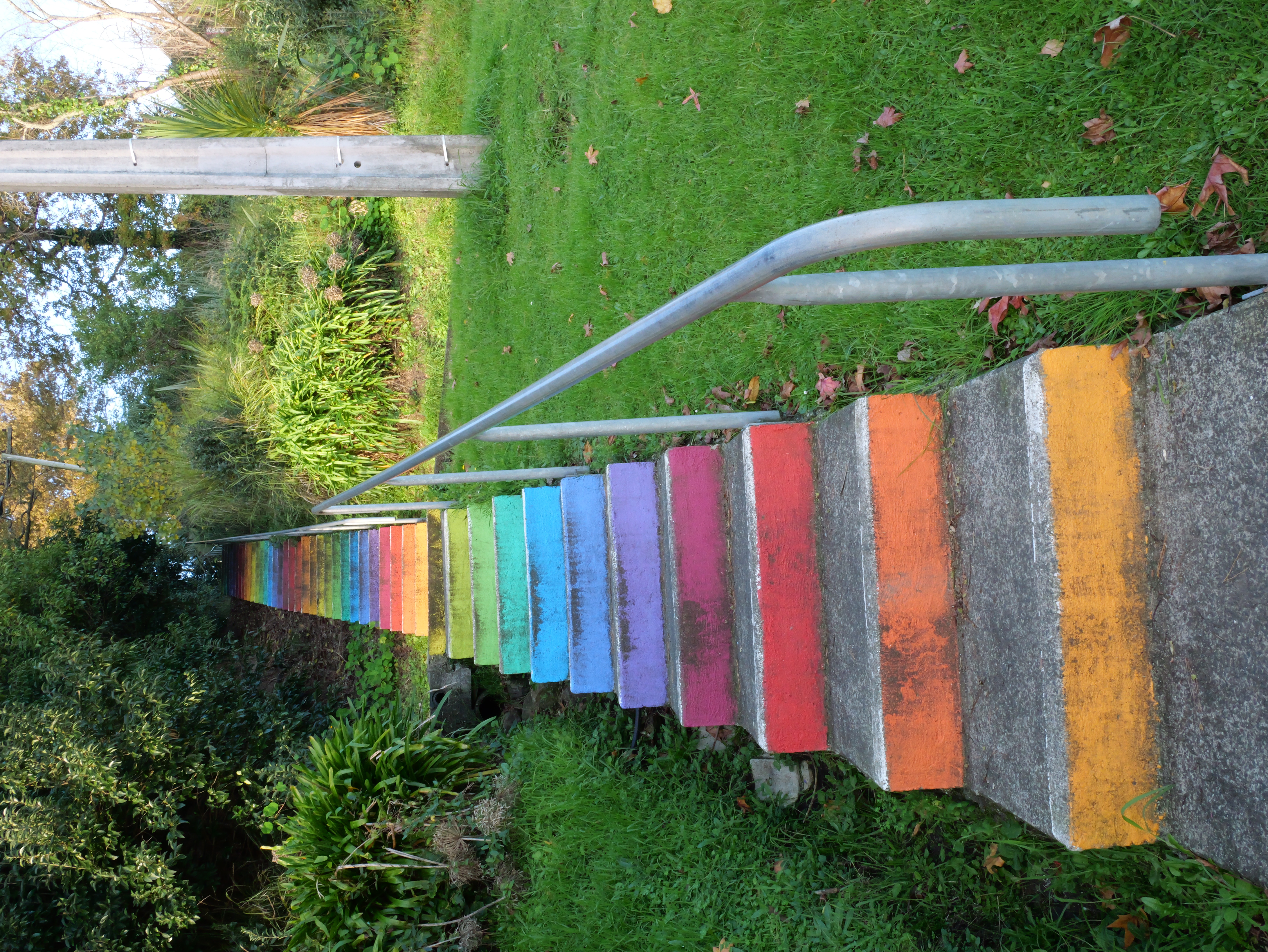 P1021889.JPG
