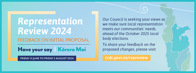 TCDC_Representation Review_NEWSLETTER BANNNER_STAGE2.png