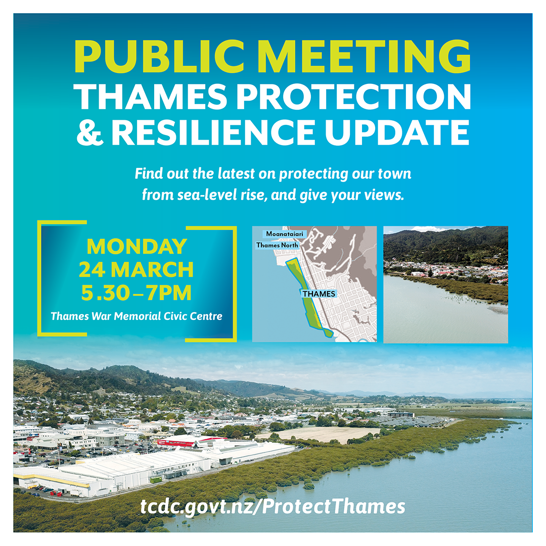 FINAL Thames Protection and Resilience 24 March 2025 public meeting_WEB.png