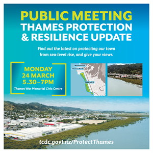 FINAL Thames Protection and Resilience 24 March 2025 public meeting_WEB.png