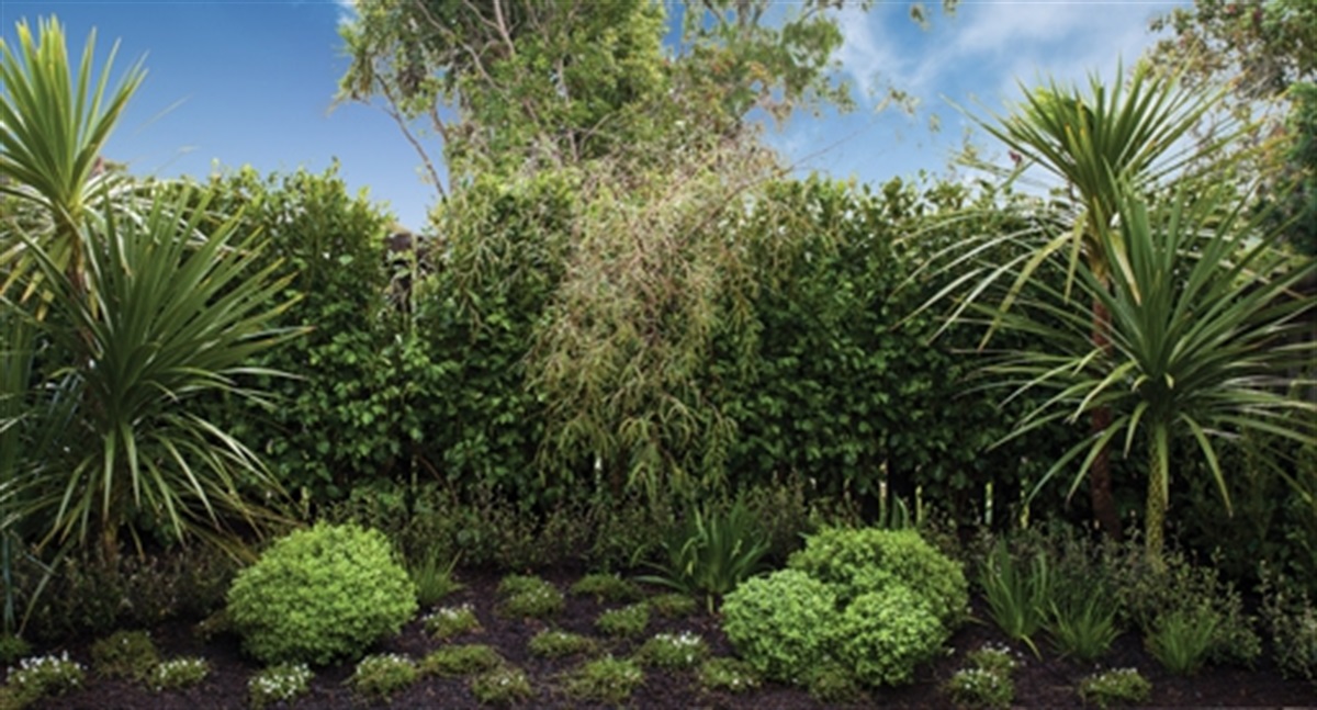 Incorporating Trees and Vegetation