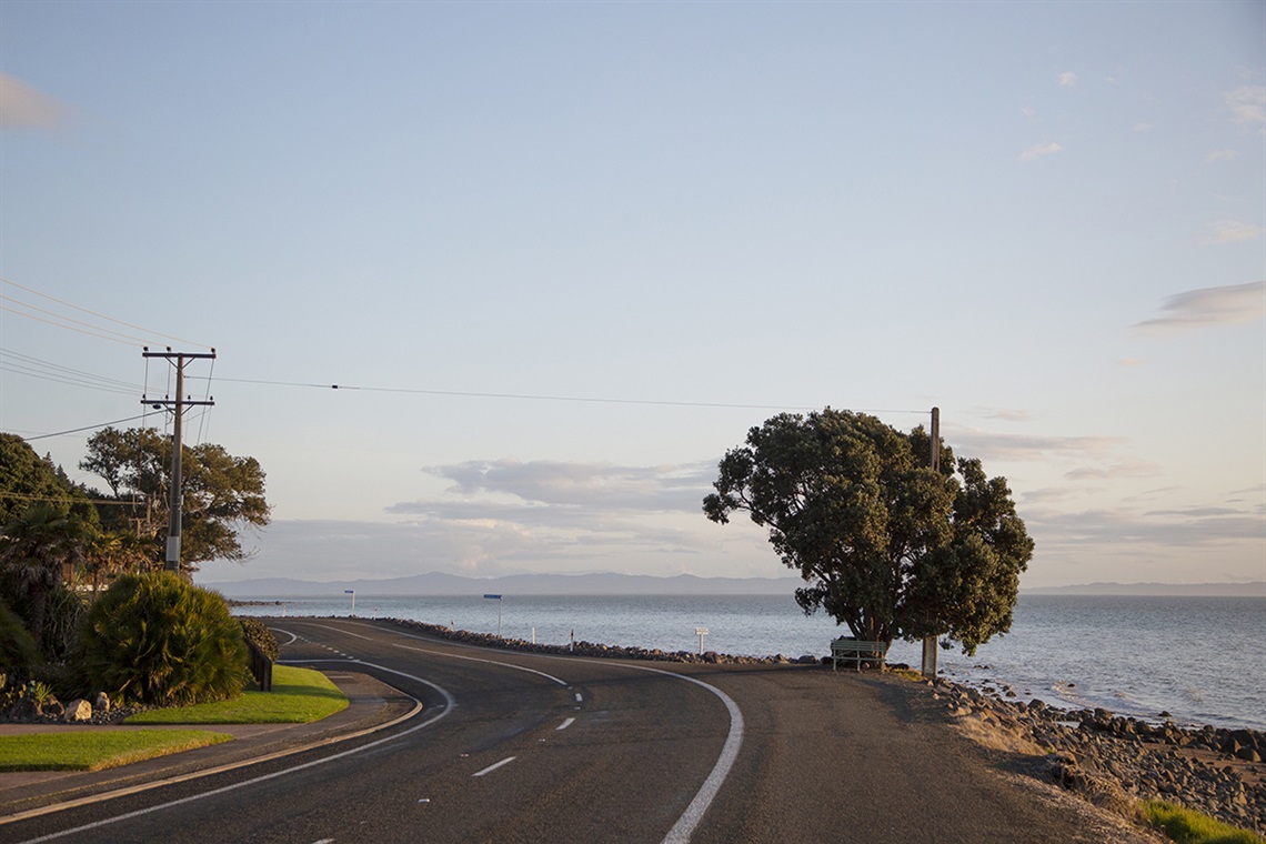 Thames-Coast-Road-Ngarumu-Bay-129A6292.jpg