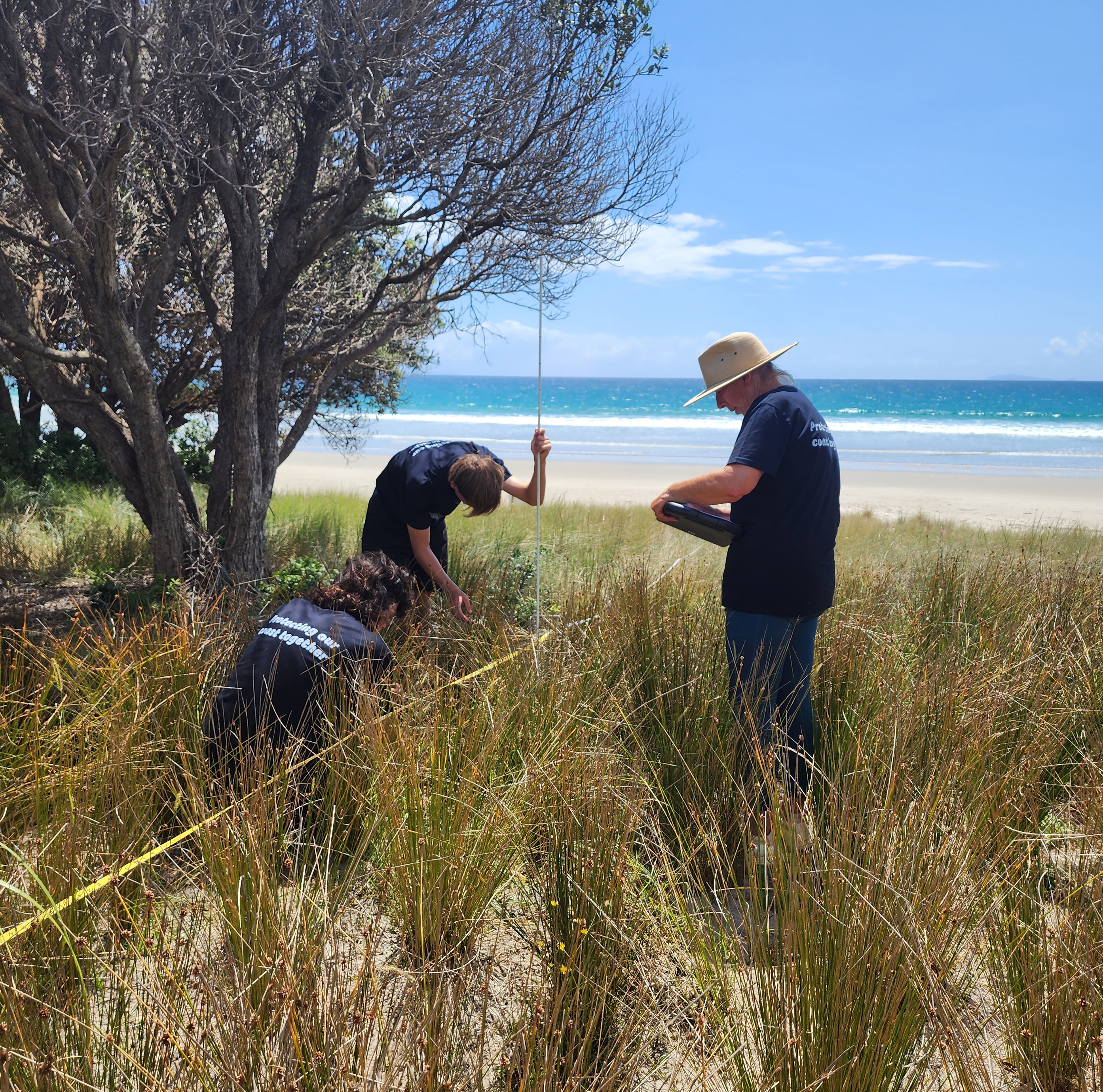 Monitoring the dunes in Matarangi