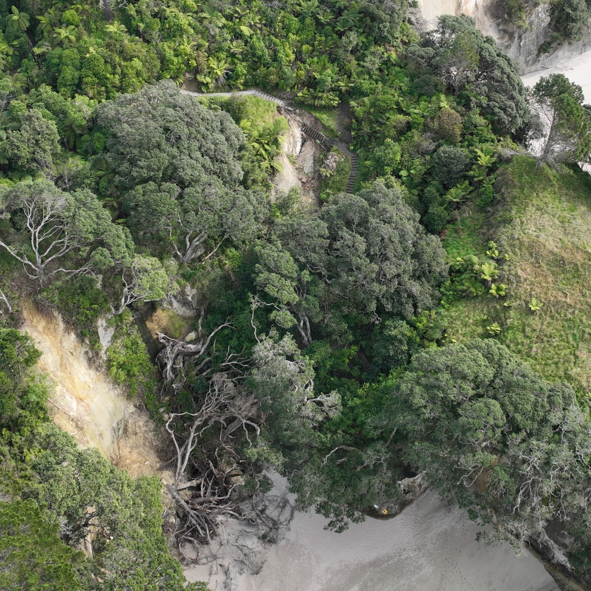 Staircase slip from CC Beach 1.JPG
