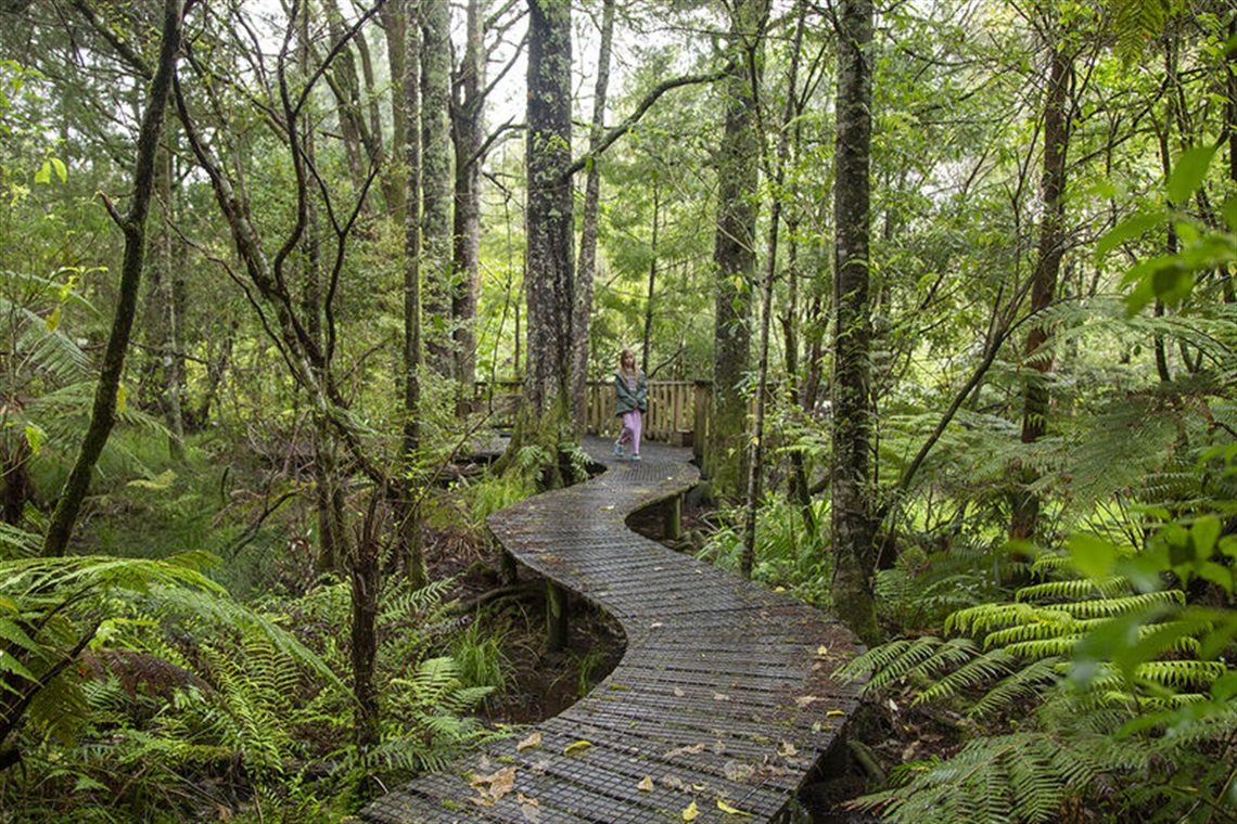 Thames-Kauaeranga-Kahikatea-Dam-Walk-129a6408-small.jpg