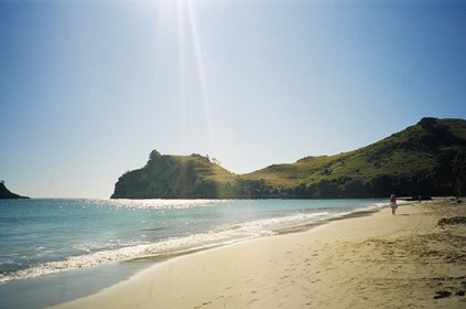 Picture1.jpg