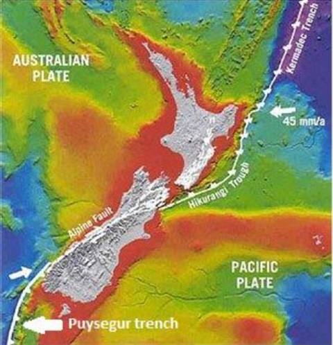 hikurangi subduction zone.JPG