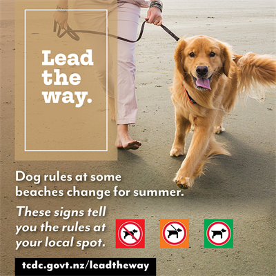 Dogs_Lead the Way 1080x1080_20246.png