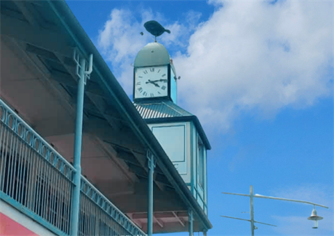 WWU website graphics (60).png