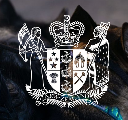 HCBA-177.png
