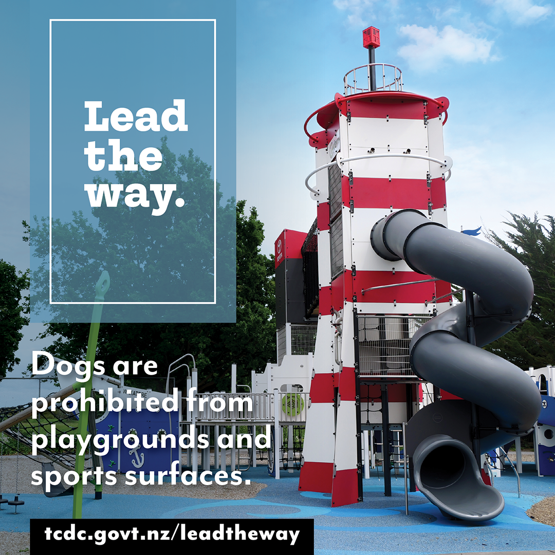 Dogs_Lead the Way_PLAYGROUND_1080x1080_2025_1.png